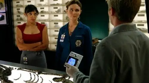 Bones Temporada 4 Episodios 11 • Sub Español