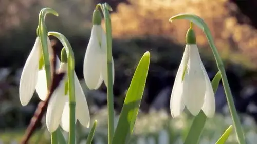 Countryfile S37E7 • Oglądaj Online