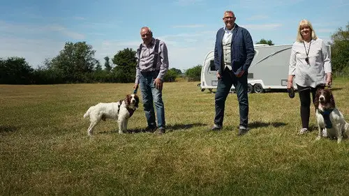 Dogs Behaving (Very) Badly Temporada 8 Episodios 6 • Sub Español