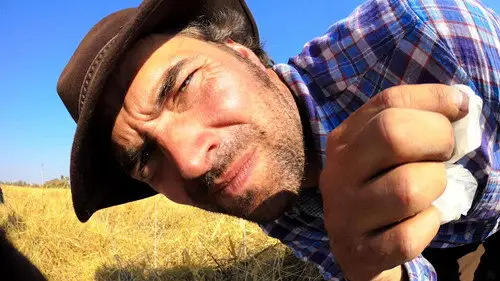Nature S35E11 • Oglądaj Online