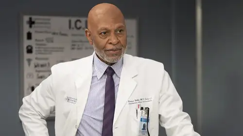 Anatomía de Grey Temporada 22 Episodios 13 • Sub Español