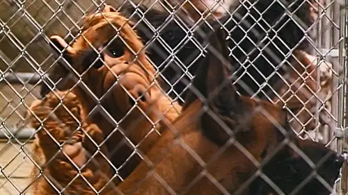 ALF Temporada 1 Episodios 3 • Sub Español