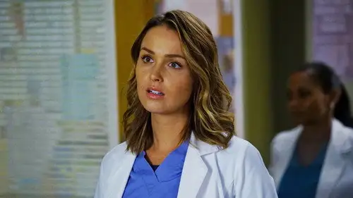 Anatomía de Grey Temporada 13 Cap 4 • Español Online