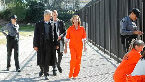 Navy: Investigación criminal Temporada 8 Episodios 17 • Sub Español