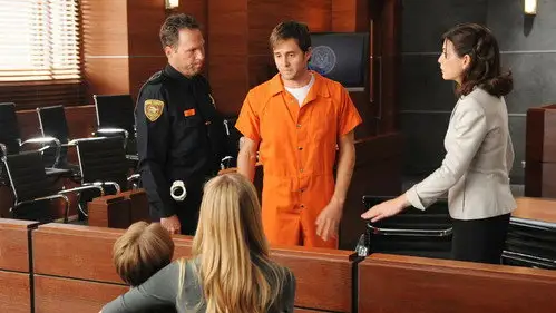 The Good Wife Temporada 3 Episodios 4 • Sub Español