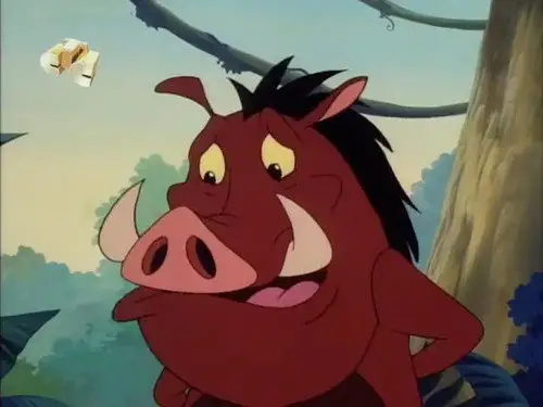 Timón y Pumba Temporada 3 Episodios 11 • Sub Español