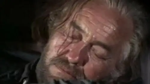 Baretta Temporada 2 Episodios 3 • Sub Español