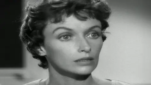 Perry Mason Temporada 2 Episodios 1 • Sub Español