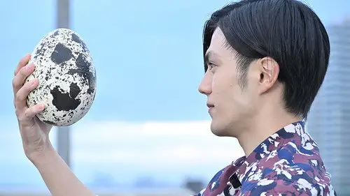 Kamen Rider Temporada 33 Episodios 9 • Sub Español