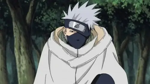 Naruto Shippuden Temporada 10 Episodios 214 • Sub Español