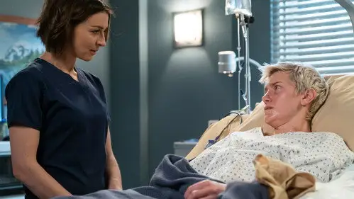 Anatomía de Grey Temporada 15 Cap 18 • Español Online
