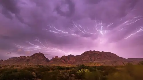 Nature S39E10 • Oglądaj Online