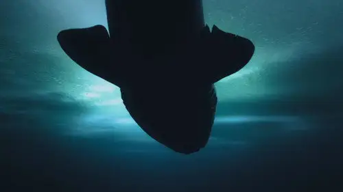 OceanXplorers Temporada 1 Episodios 6 • Sub Español
