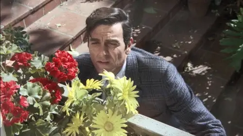 Mannix Temporada 2 Episodios 5 • Sub Español