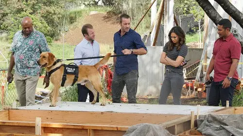 Hawái 5.0 Temporada 8 Episodios 16 • Sub Español
