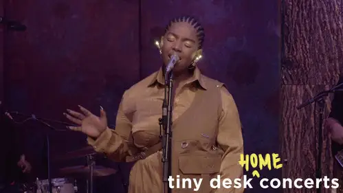 NPR Tiny Desk Concerts Sezon 14 Odc 19 • Online