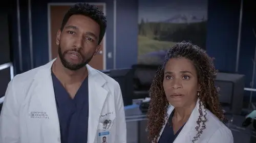 Anatomía de Grey Temporada 19 Cap 14 • Español Online