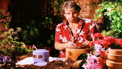 Knots Landing Temporada 9 Episodios 3 • Sub Español