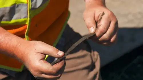 La maldición de Oak Island Temporada 8 Episodios 16 • Sub Español