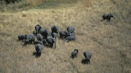 Nature S22E2 • Oglądaj Online
