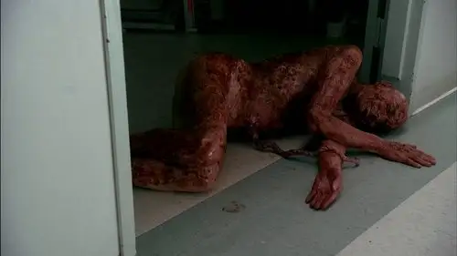 Fringe Temporada 1 Episodios 2 • Sub Español