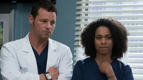 Anatomía de Grey Temporada 14 Cap 4 • Español Online