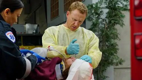 Anatomía de Grey Temporada 13 Cap 15 • Español Online