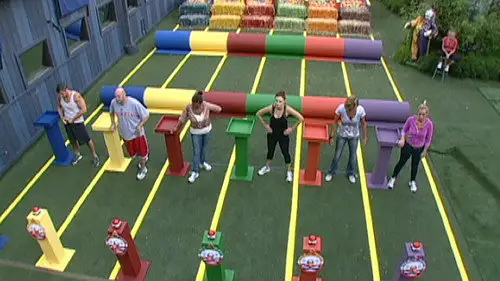 Gran hermano (Estados Unidos) Temporada 13 Episodios 22 • Sub Español
