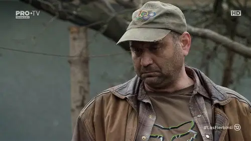 Las Fierbinţi Temporada 18 Episodios 17 • Sub Español