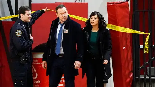 Familia de policías Temporada 9 Episodios 12 • Sub Español