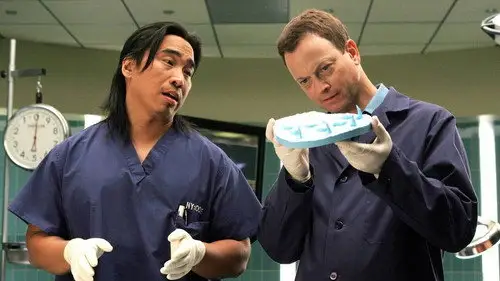 CSI: Nueva York Temporada 2 Episodios 3 • Sub Español