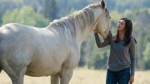 Heartland Temporada 12 Episodios 10 • Sub Español