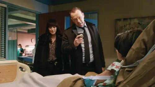 Familia de policías Temporada 7 Episodios 13 • Sub Español