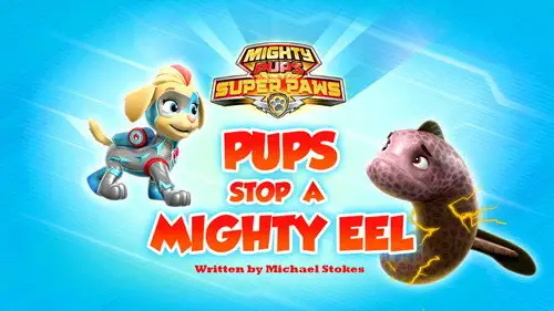 La Patrulla Canina Temporada 9 Episodios 18 • Sub Español