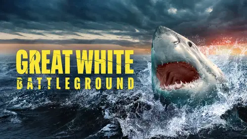 Shark Week S35E1 • Oglądaj Online
