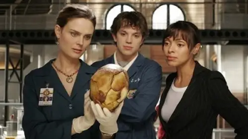 Bones Temporada 2 Episodios 1 • Sub Español