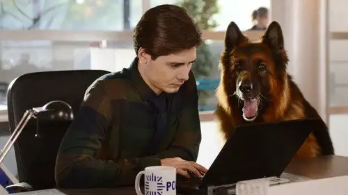 Komisarz Alex Temporada 11 Episodios 5 • Sub Español