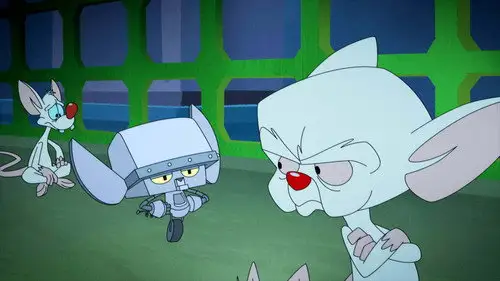 Animaniacs Temporada 1 Episodios 12 • Sub Español