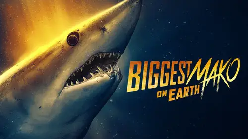 Shark Week S39E6 • Oglądaj Online