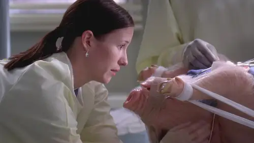 Anatomía de Grey Temporada 5 Episodios 6 • Sub Español
