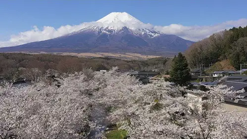 世界遺産 Temporada 28 Episodios 1 • Sub Español