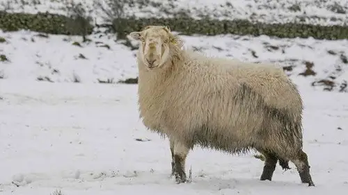 Countryfile S34E7 • Oglądaj Online