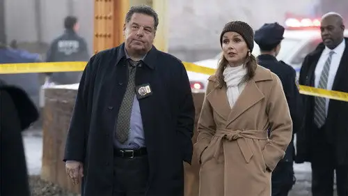 Familia de policías Temporada 11 Episodios 4 • Sub Español