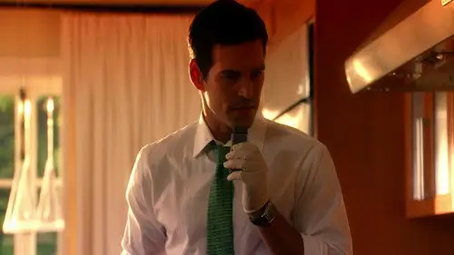 CSI: Miami Temporada 8 Episodios 11 • Sub Español