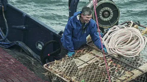 Pesca radical Temporada 14 Episodios 3 • Sub Español