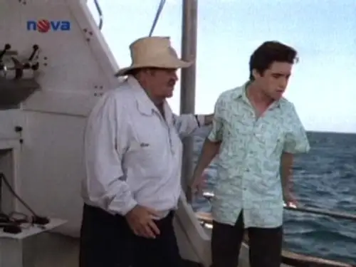 Jake y el gordo Temporada 3 Episodios 20 • Sub Español