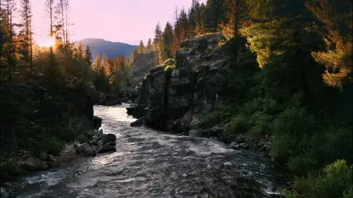 Nature S30E11 • Oglądaj Online
