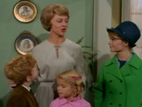 Family Affair Temporada 2 Episodios 16 • Sub Español