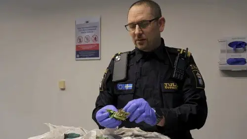 Gränsbevakarna Sverige Temporada 4 Episodios 12 • Sub Español