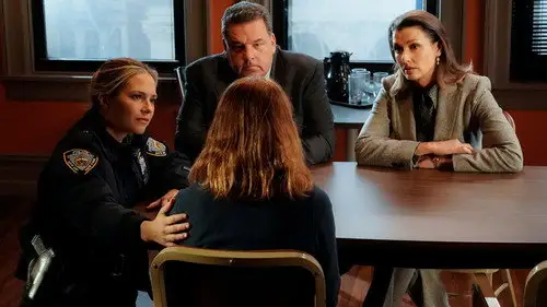 Familia de policías Temporada 10 Episodios 12 • Sub Español